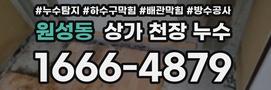 원성동 상가 천장 누수