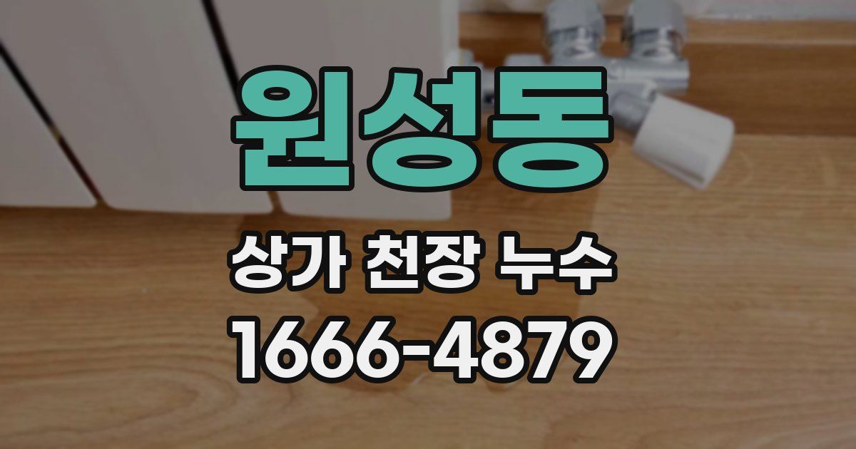원성동 상가 천장 누수