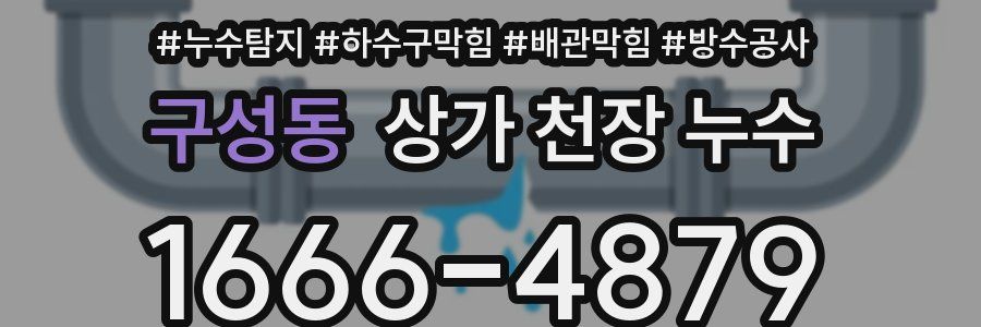 구성동 상가 천장 누수