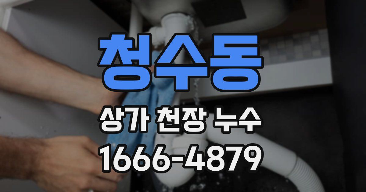 청수동 상가 천장 누수