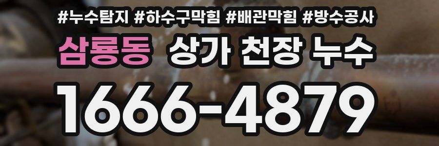 삼룡동 상가 천장 누수