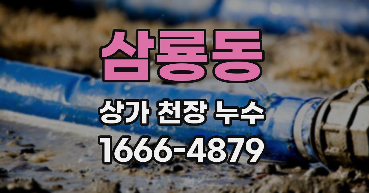 삼룡동 상가 천장 누수
