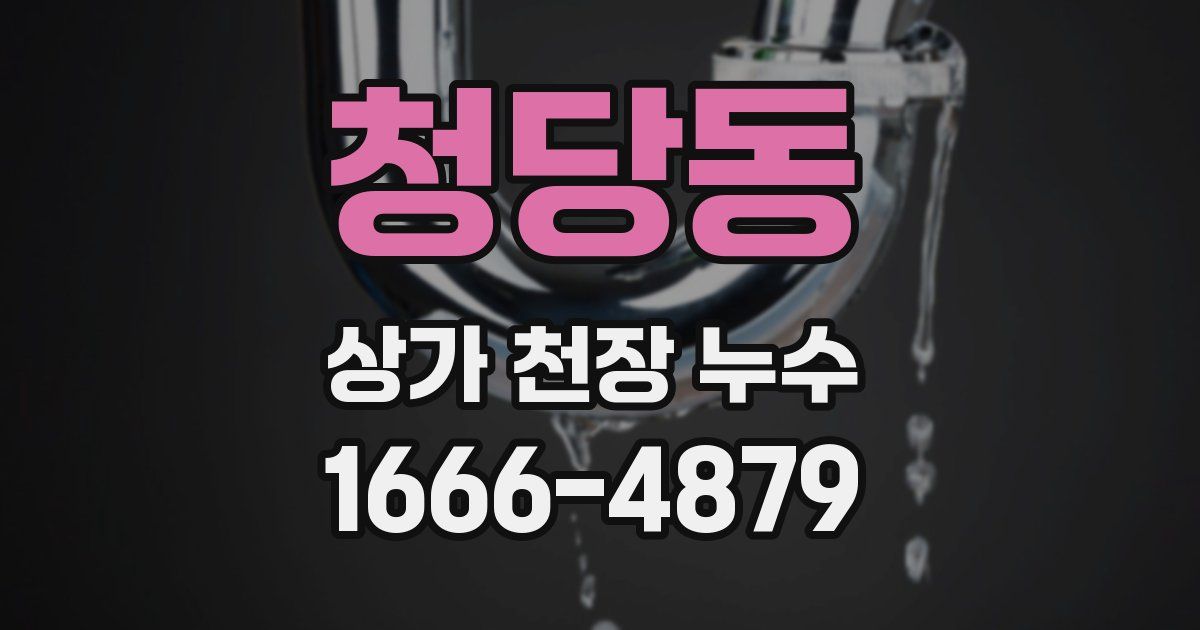 청당동 상가 천장 누수