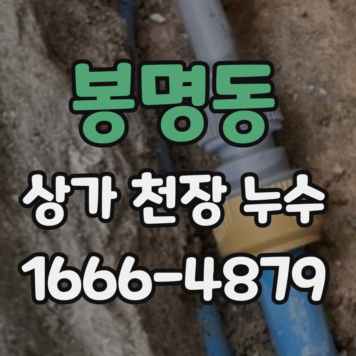 봉명동 상가 천장 누수