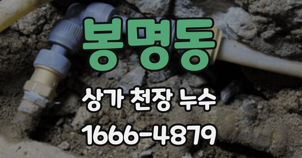 봉명동 상가 천장 누수