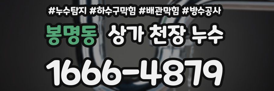 봉명동 상가 천장 누수