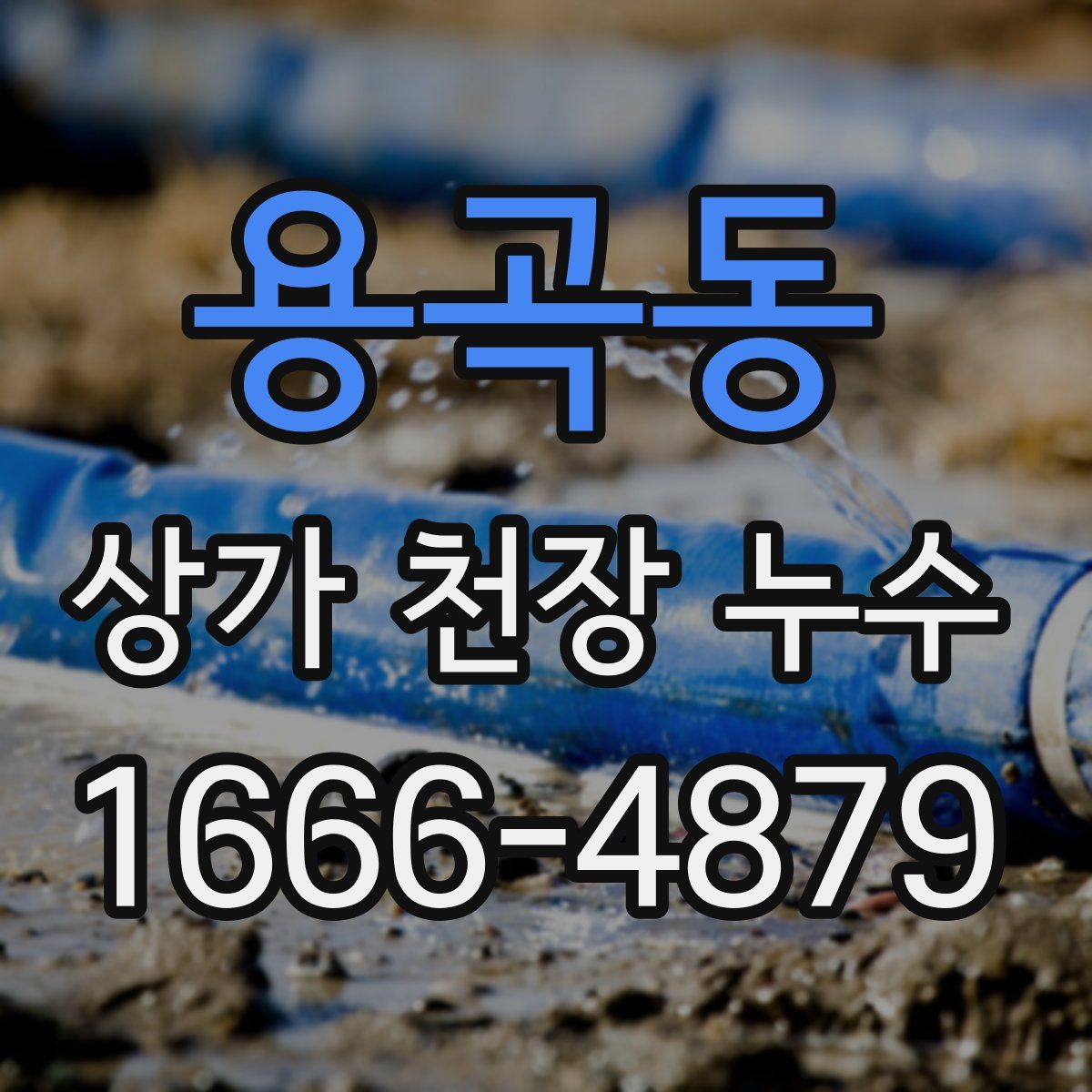 용곡동 상가 천장 누수