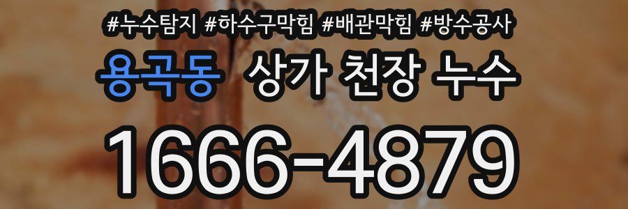 용곡동 상가 천장 누수