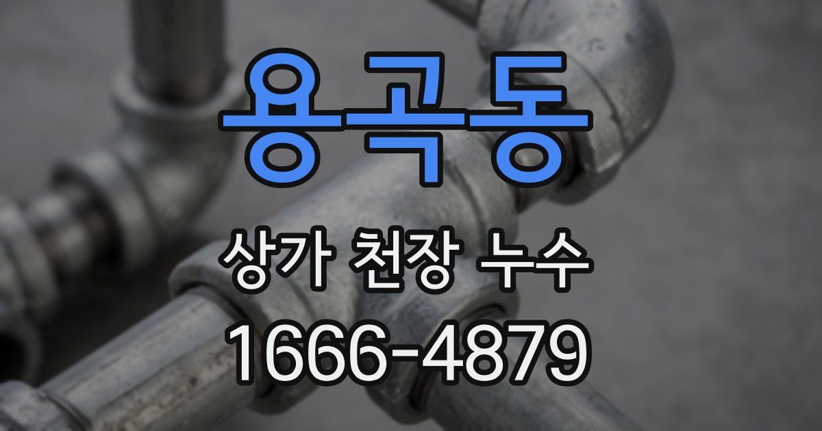 용곡동 상가 천장 누수