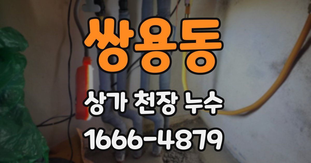쌍용동 상가 천장 누수