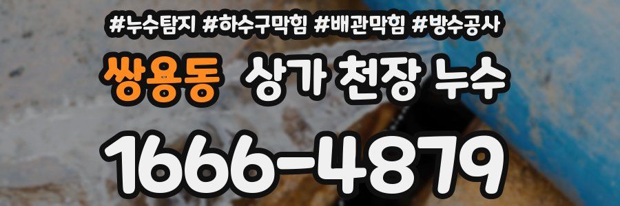 쌍용동 상가 천장 누수