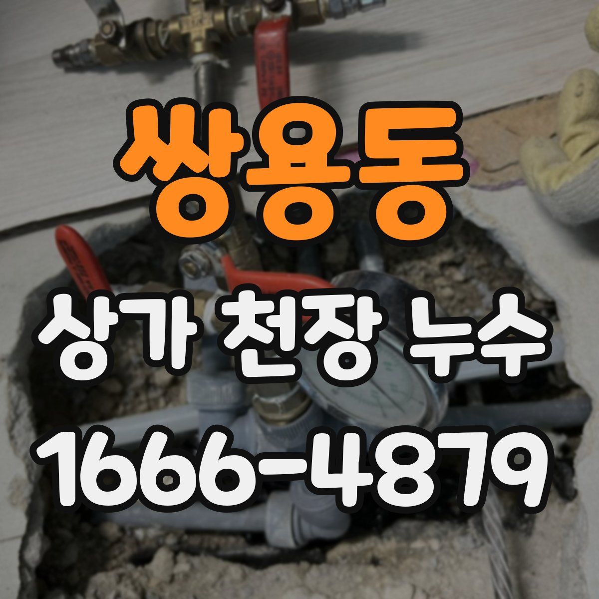 쌍용동 상가 천장 누수