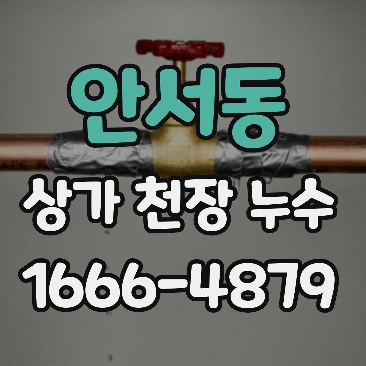 안서동 상가 천장 누수