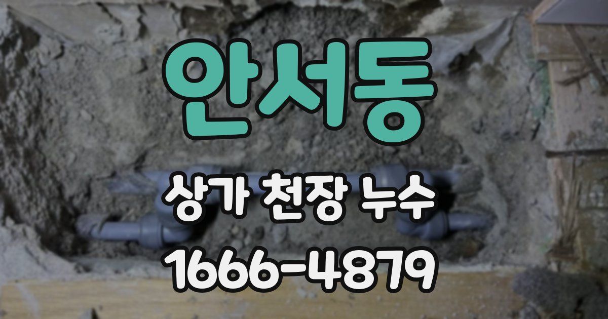 안서동 상가 천장 누수