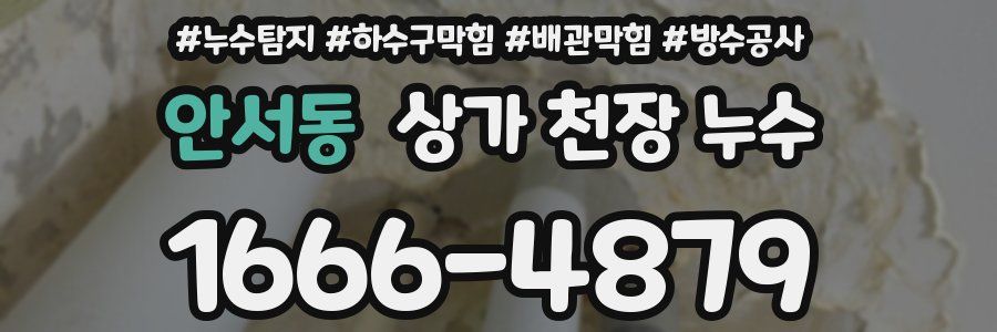 안서동 상가 천장 누수