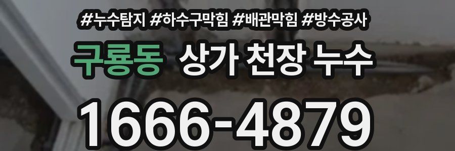구룡동 상가 천장 누수