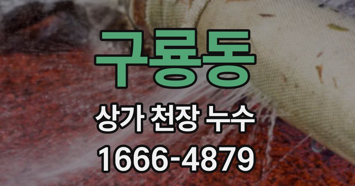 구룡동 상가 천장 누수