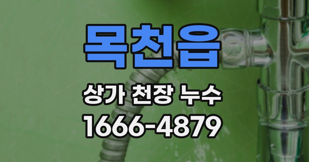 목천읍 상가 천장 누수