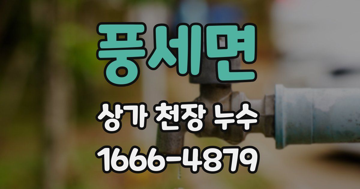 풍세면 상가 천장 누수
