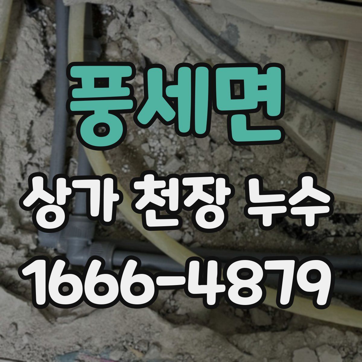 풍세면 상가 천장 누수