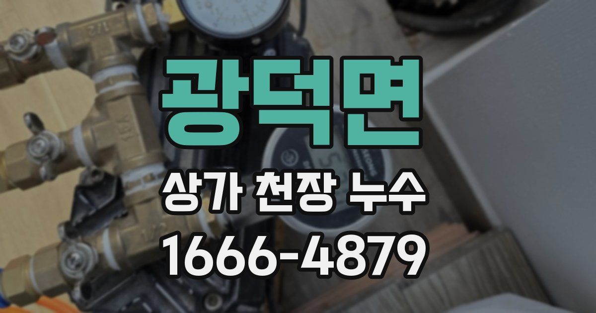 광덕면 상가 천장 누수