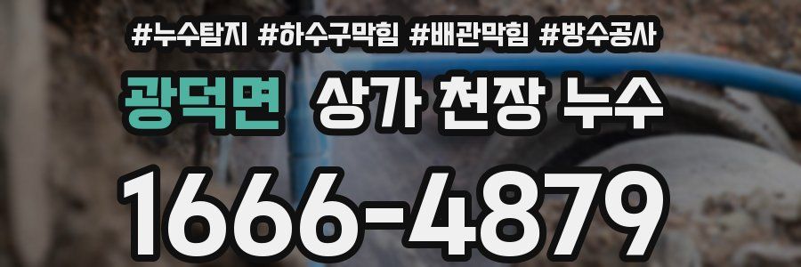광덕면 상가 천장 누수