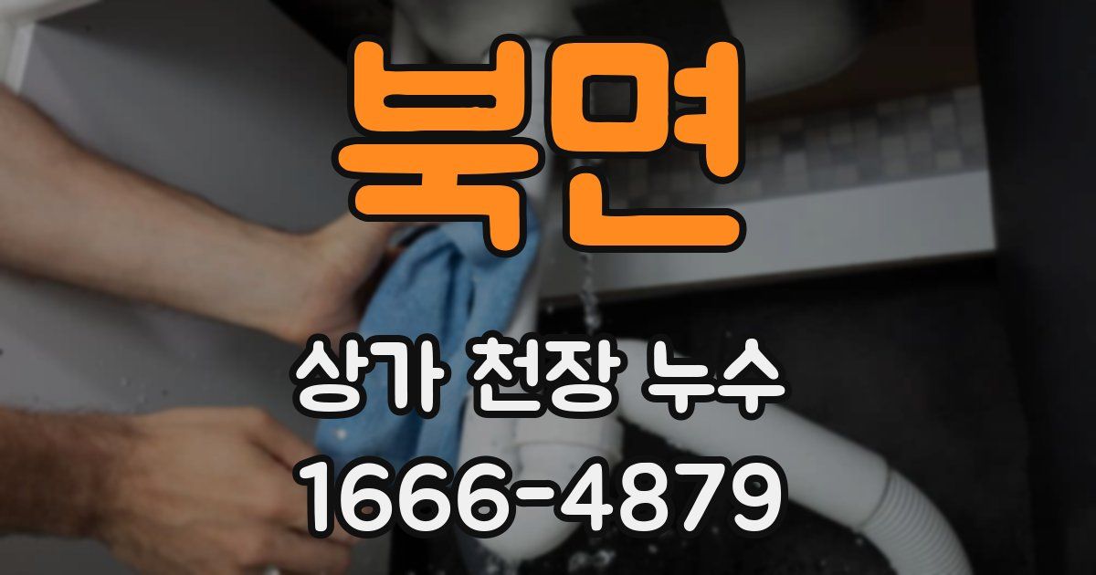 북면 상가 천장 누수