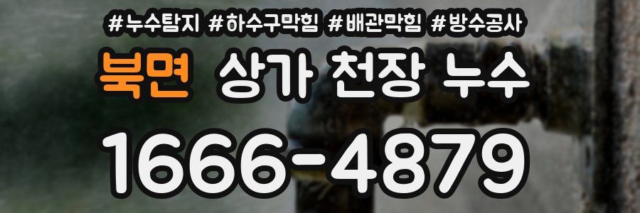 북면 상가 천장 누수