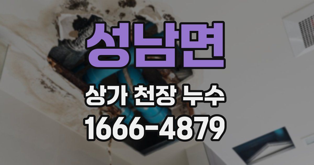 성남면 상가 천장 누수