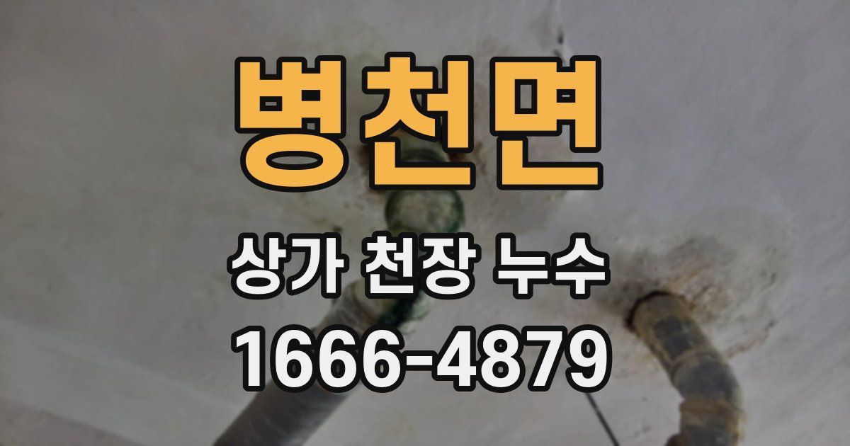 병천면 상가 천장 누수