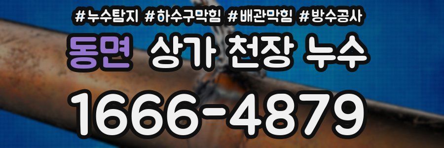 동면 상가 천장 누수