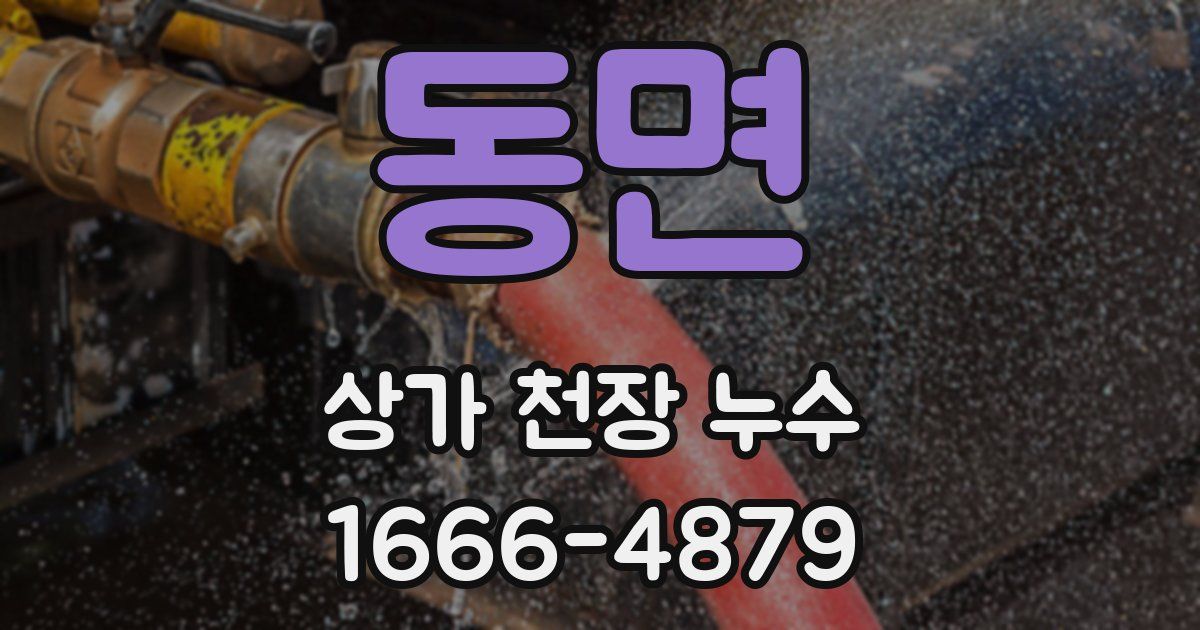 동면 상가 천장 누수