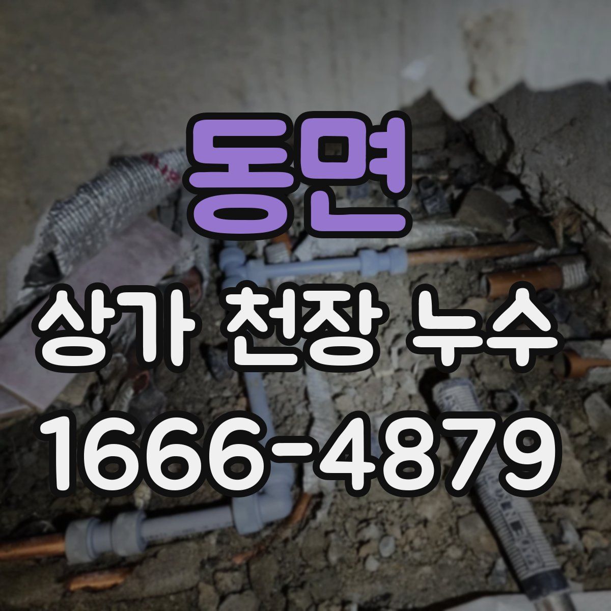 동면 상가 천장 누수