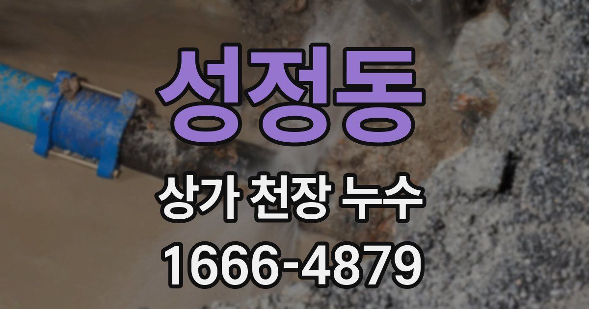 성정동 상가 천장 누수