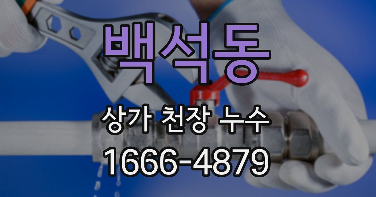 백석동 상가 천장 누수