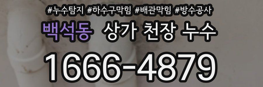 백석동 상가 천장 누수