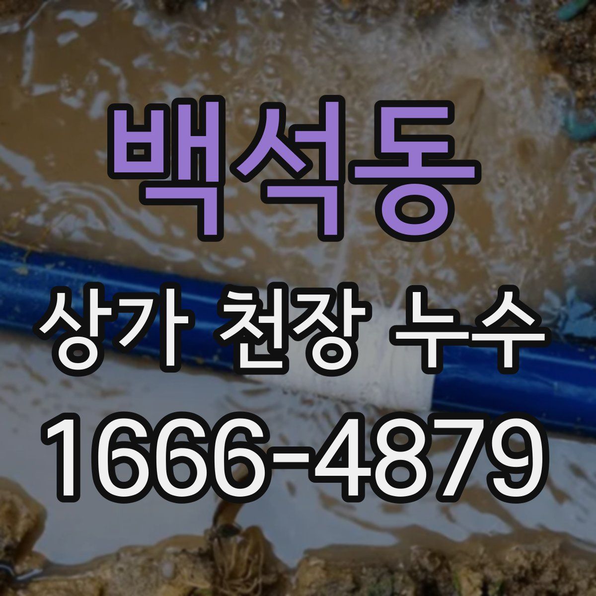 백석동 상가 천장 누수