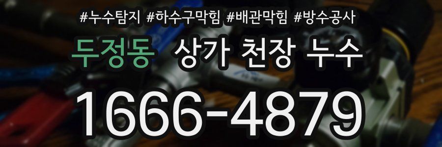 두정동 상가 천장 누수