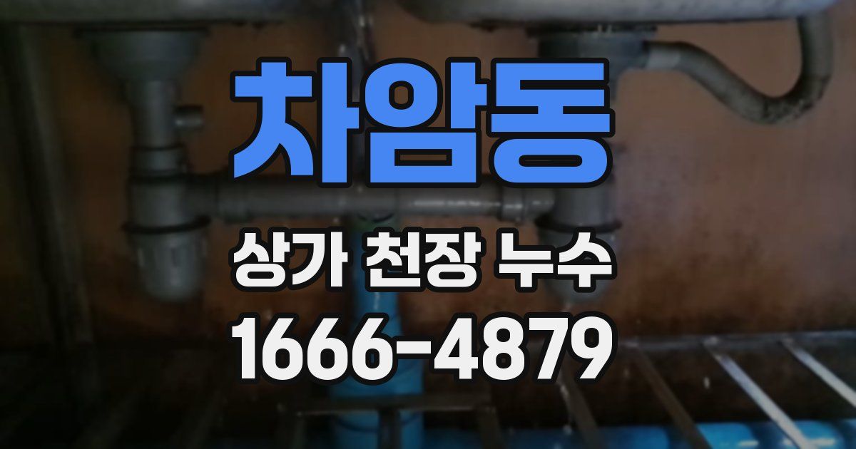 차암동 상가 천장 누수