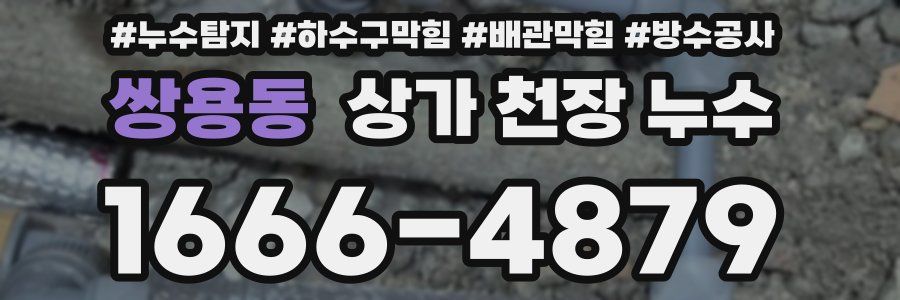 쌍용동 상가 천장 누수