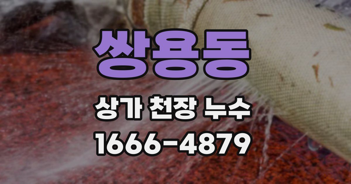 쌍용동 상가 천장 누수