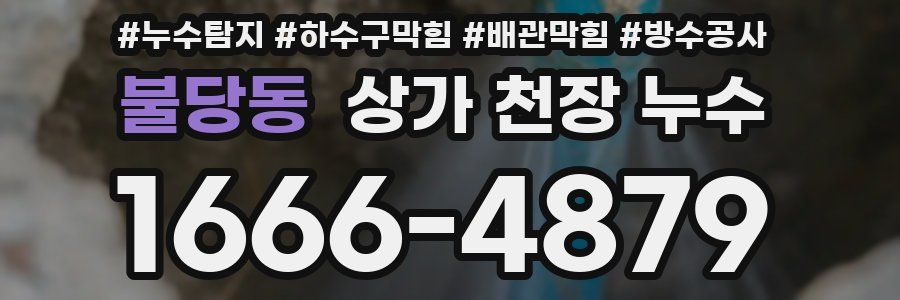 불당동 상가 천장 누수