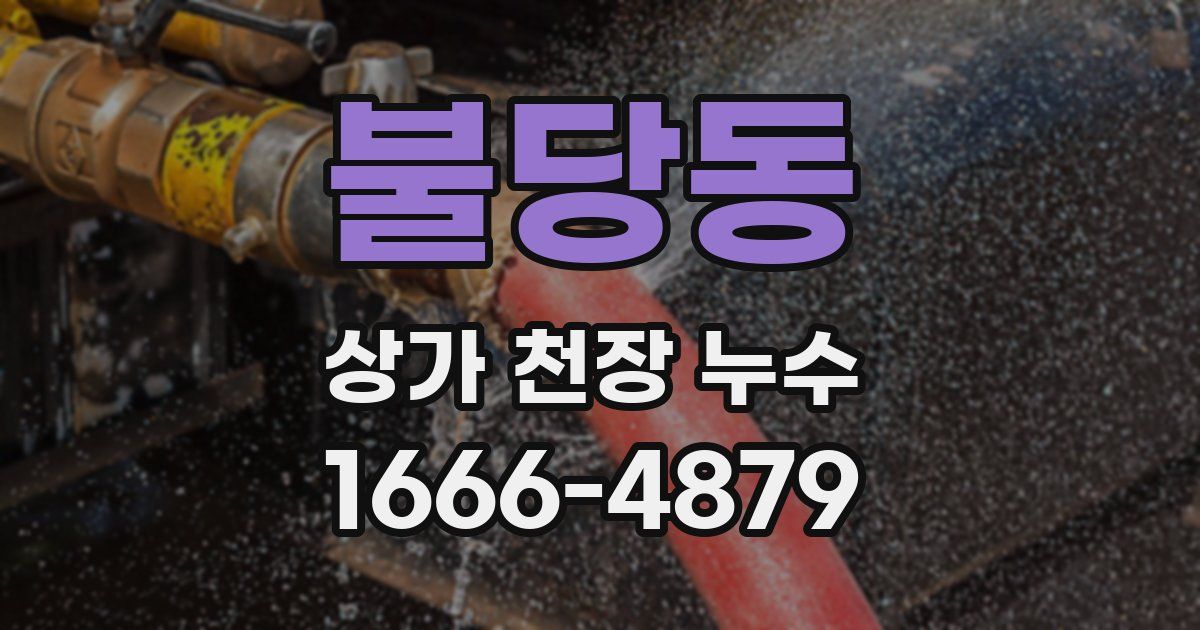 불당동 상가 천장 누수