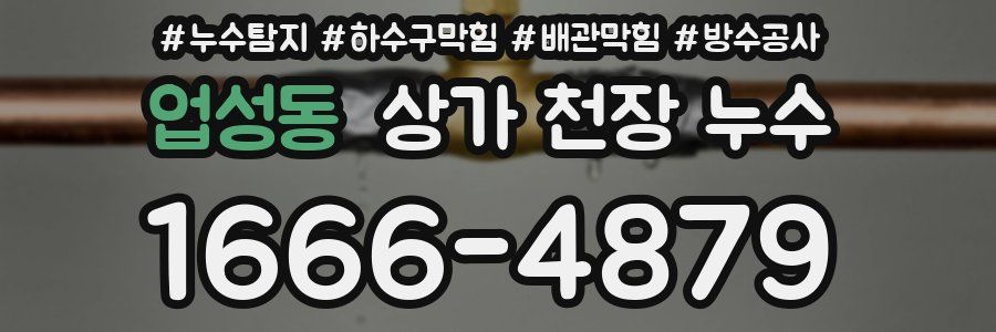 업성동 상가 천장 누수