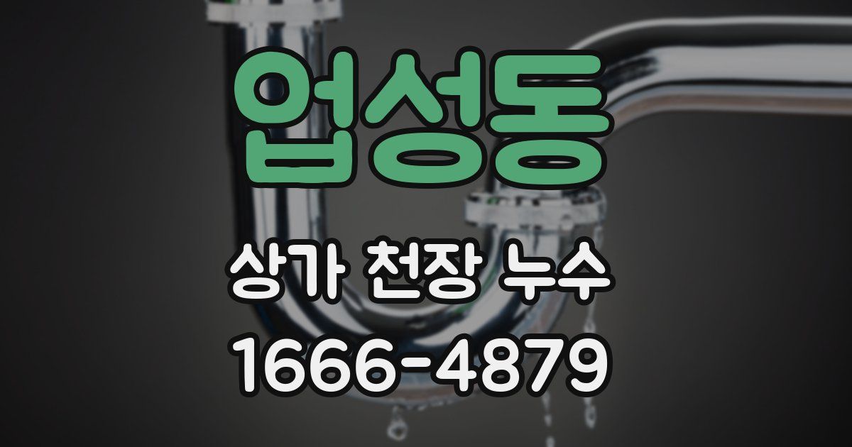 업성동 상가 천장 누수