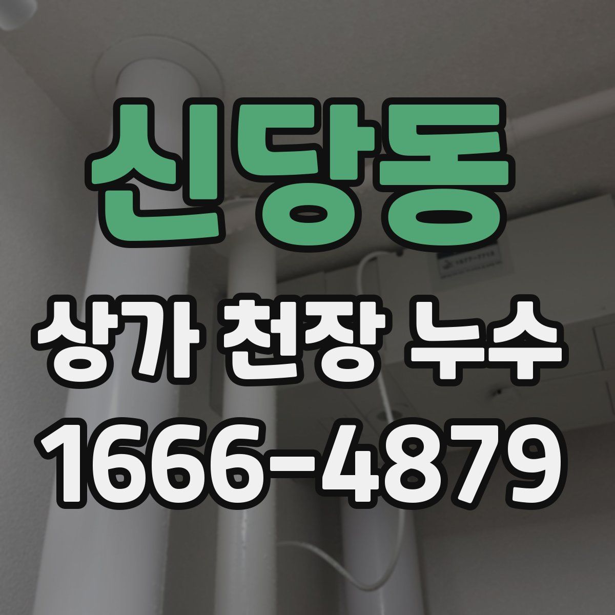 신당동 상가 천장 누수