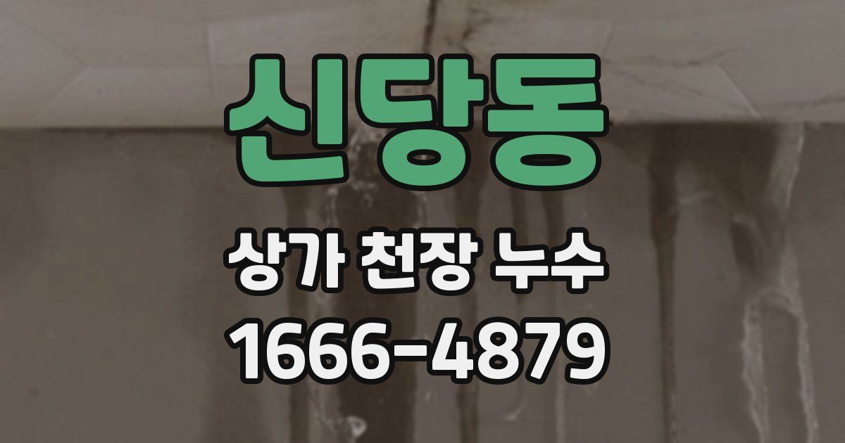 신당동 상가 천장 누수