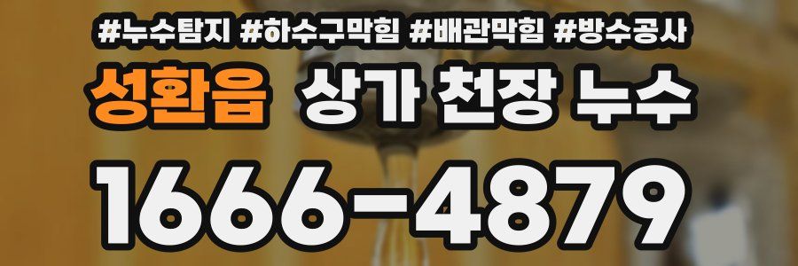 성환읍 상가 천장 누수