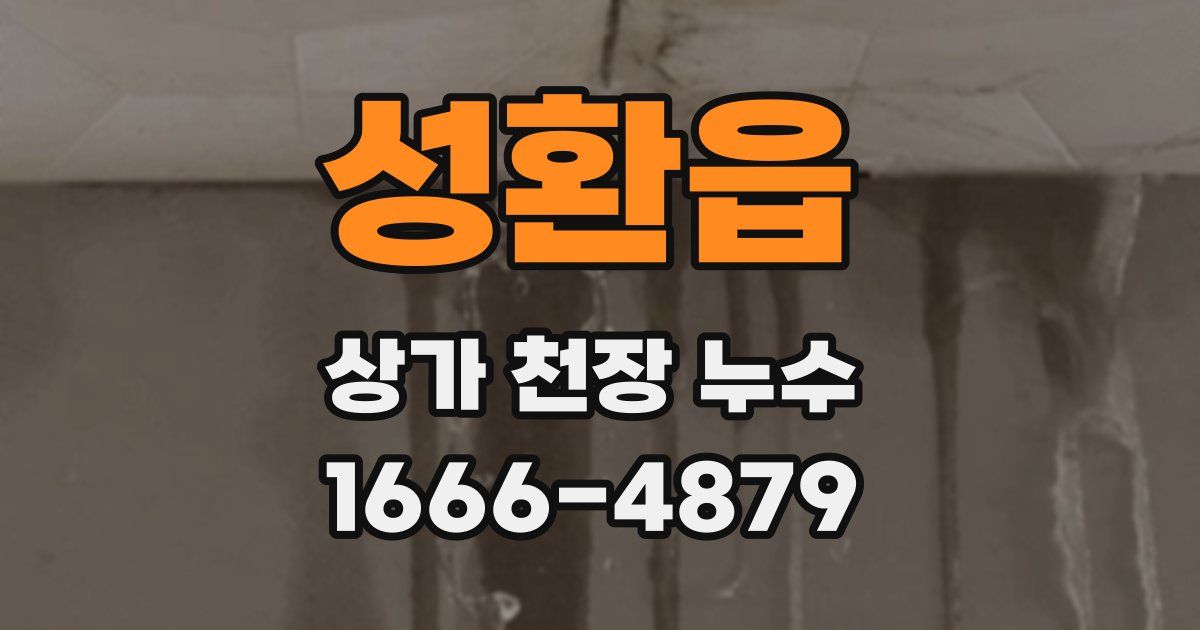 성환읍 상가 천장 누수