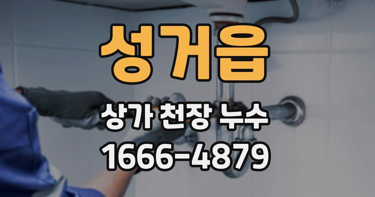 성거읍 상가 천장 누수